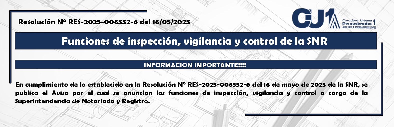 Funciones de inspección, vigilancia y control de la SNR